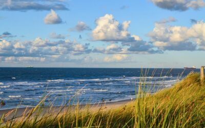 La musique est-elle soluble dans l’eau de mer ?